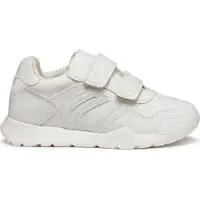Geox Rann-e Junior Sneakers Utan Snörning