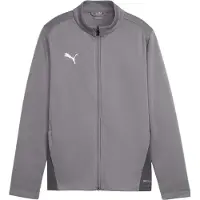 Puma Träningsjacka teamGOAL - Grå/White Barn, storlek 176 cm