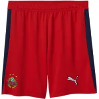 Puma Sportbyxa 'SK Rapid Wien 2025/2026' marinblå / gul / röd / vit