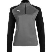 Puma Sport sweatshirt 'TeamLiga' grå / svart