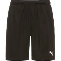 Puma Teamrise Training Shorts