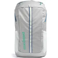 Patagonia Black Hole Pack 25L Birch White