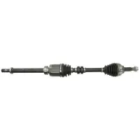 PASCAL Drivaxel G21039PC