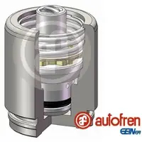 AUTOFREN SEINSA Kolv, bromscylinder D0-25605K