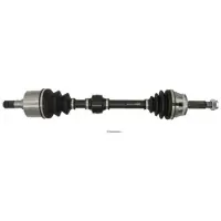PASCAL Drivaxel G20042PC