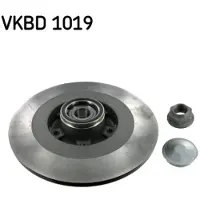 Skf Bromsskiva VKBD 1019 bak, full, 1 Stycke
