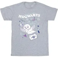 Harry Potter T-shirt i bomull med uggla och brev från Hogwarts (Sport Grå)