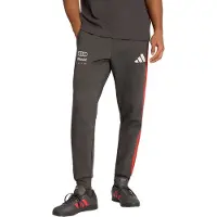 Adidas Audi Revolut F1 Team Dna Byxor, storlek X-Small