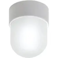 Orion Taklampa Ostia, dimbar, Vitt / opal, Hall, Glas, Taklampa