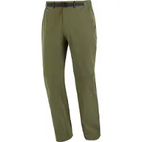 Salomon - Vandringskläder - Wayfarer Pants 2.0 M Grape Leaf för UnisexSoftshell - Storlek L - Grön