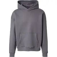 Hollister Sweatshirt grå