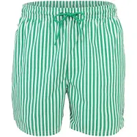 Calvin Klein Badshorts gran / vit