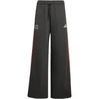 Adidas Audi F1 Team Dna Byxor