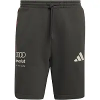 Adidas Audi Revolut F1 Team Dna Shorts, storlek X-Small