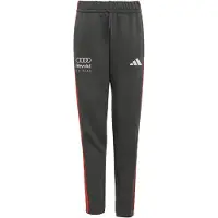Adidas Audi Revolut F1 Team Dna Byxor, storlek 128 cm