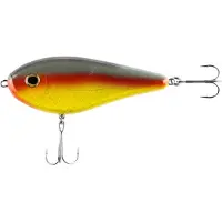iFish The Guide Parrot
