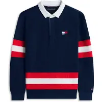 Tommy Hilfiger Back Graphic Long Sleeve Polo Shirt