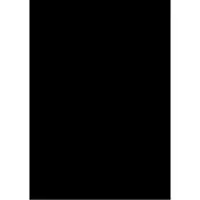 Folia 50x70cm 300g/m², 300 g/m ^, Svart, 10 ark, 500 mm, 700 mm