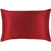 Slip Pure Silk Queen Pillowcase - Scarlet Kuddar 1 st