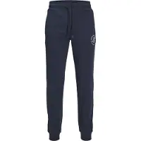 Jack & Jones Gordon Swift Plus Size Mjukisbyxor