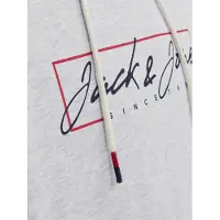 Jack & Jones 12254870 Zuri Tröja Med Huva