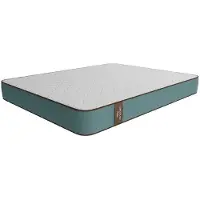 Cecotec Flow Purevital 2900 Madrass