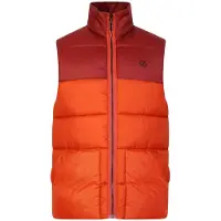 Dare 2b Mens City Padded Gilet (Rooibos Tea/Madder Brown)