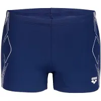 Arena Graphic Swim Simshorts
