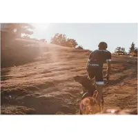 Zéfal Z Adventure R Sadeltaske 17l