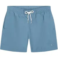 O'Neill Vert Simshorts