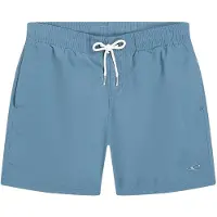 O'Neill Vert Simshorts