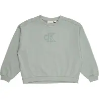 Calvin Klein Boxy Sweatshirt