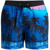 Quiksilver Everyday Printed Volley 15´´ Simshorts