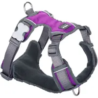 Red Dingo Padded Hundsele