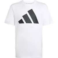 Adidas Train Essentials Big Logo T-shirt Med Korta ärmar