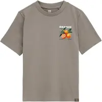 We fashion T-shirt grå / grön / orange
