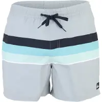 Quiksilver Badshorts 'EVERYDAY VOLLEY' ljusblå / ljusgrå / ljusgrön / svart