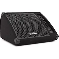 SubZero 200W 10" Aktiv Golvmonitor