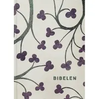 Bibeln med apokryferna