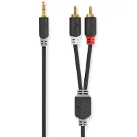 Nedis Stereoljudkabel | 3.5 mm Hane | 2x RCA Hane | Guldplaterad | 2.00 m | Rund | Antracit | Låda