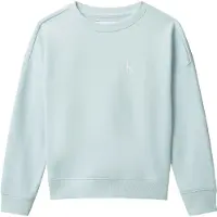 Calvin Klein Sweatshirt - Monogram - Nantucket Breeze m. Tryck - - 14 år (164) - Sweatshirt