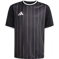 Adidas Entrada 26 Tröja med grafik för barn, storlek 104 cm