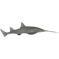 Papo Sågfisk - L: 18 cm - - One Size - Leksaksdjur