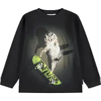 Molo Tröja - Rube - Skate CAT - - 10 år (140) - Tröja
