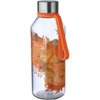 Carl Oscar Vattenflaska - Wisdomflaska - 650 ml - Fire - - One Size - Vattenflaska