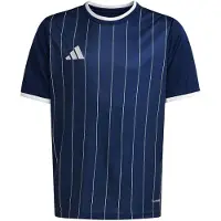 Adidas Entrada 26 Tröja med grafik för barn, storlek 152 cm