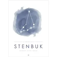 Citatplakat Affisch - A3 - Constellation - Stenbocken - Blå - - One Size - Affisch
