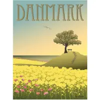 ViSSEVASSE Affisch - 30x40 - Danmark - Rapsfälten - - One Size - Affisch