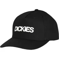 Dickies Keps - Torrey - Svart - - One Size - Keps