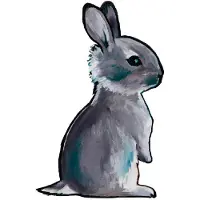 Citatplakat Affisch - B2 - Sweet Bunny - - One Size - Affisch